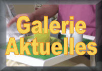 Galerie u. Aktuelles